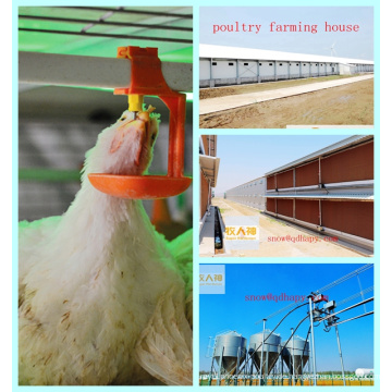 Automatische Ausrüstung im Geflügel-Landwirtschafts-Haus für Broiler-Huhn